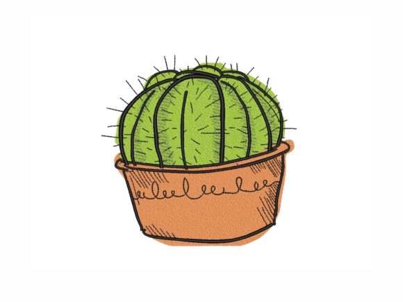 Cactus in a Pot